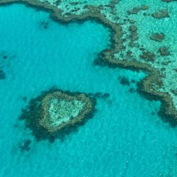 rich marine life reefs
