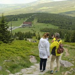 scenic mountain pine forest trails