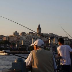 coastal boat tours from larnaca