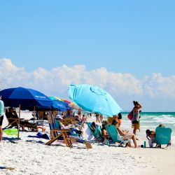 top beaches with picnic areas