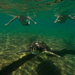 top cyprus snorkeling marine parks