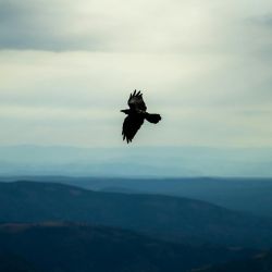 mountain village birdwatching retreats
