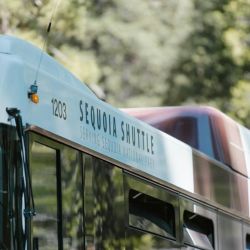 ski center shuttle bus recommendations