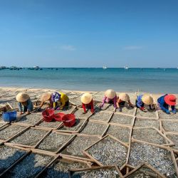 authentic local seafood experience