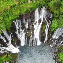 serene waterfalls tucked away