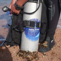 rent diving equipment locally