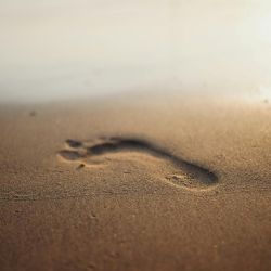scenic coastal walks destination