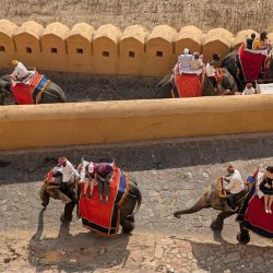 venetian walled city walking experience
