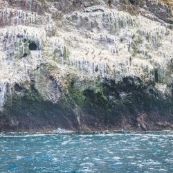 exploring shores and caves