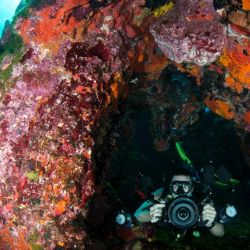 capture vibrant underwater images