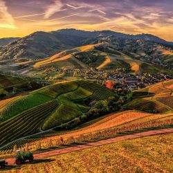 mountainous cypriot vineyard accommodations