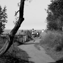 larnaca seafront family cycling paths