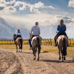 vineyard routes in cyprus mountains