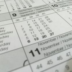detailed carnival schedule 2024