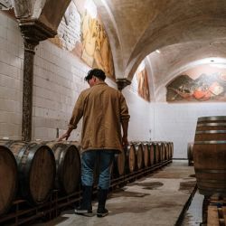 wine tasting urban limassol tours