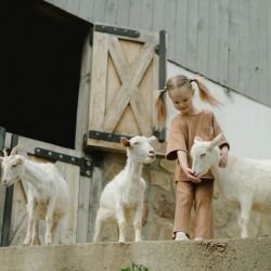 goat farm dining experiences