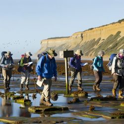 respectful coastal heritage exploration