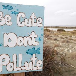 search for sustainable seaside goods