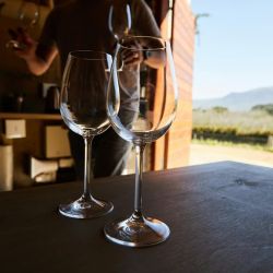 wintery tasting in troodos mountains