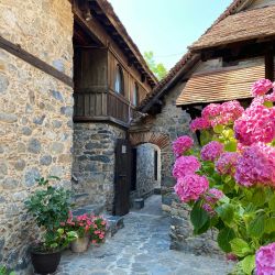 purple flowers in front of brown brick house
