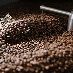 nicosia s specialty coffee roasters