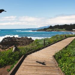 scenic coastal trail exploration