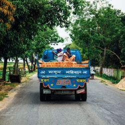 sea turtle migration routes unknown