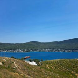 use proper filtration techniques