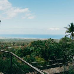 ideal turtle spotting destination