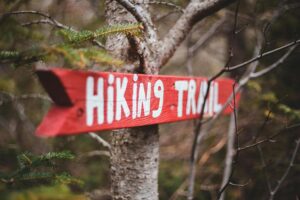 Erkundung der vielfältigen Tierwelt Zyperns