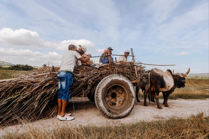 exploring cyprus rural traditions