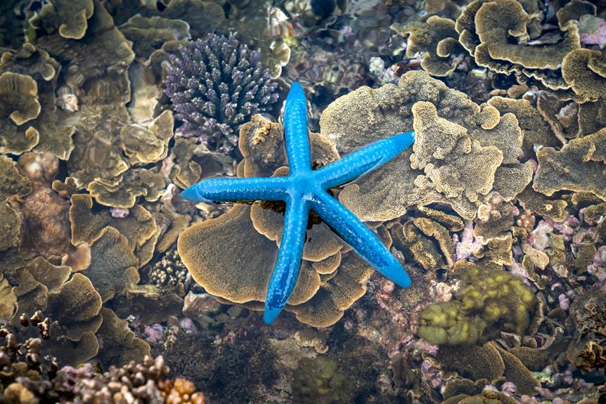 exploring larnaca s marine treasures