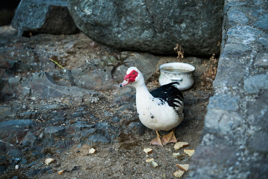 akamas peninsula bird watching tours