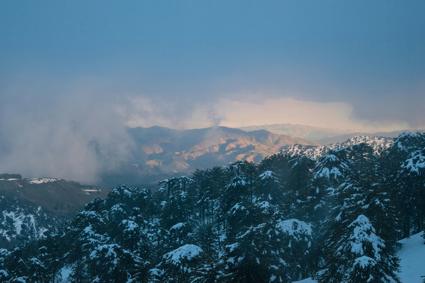 authentic troodos mountain taverna recommendations