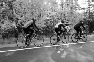 autumn cycling routes in paphos forest