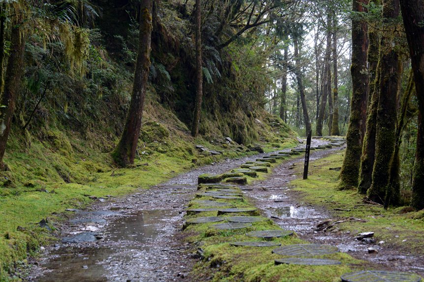 autumn foliage hiking guide troodos