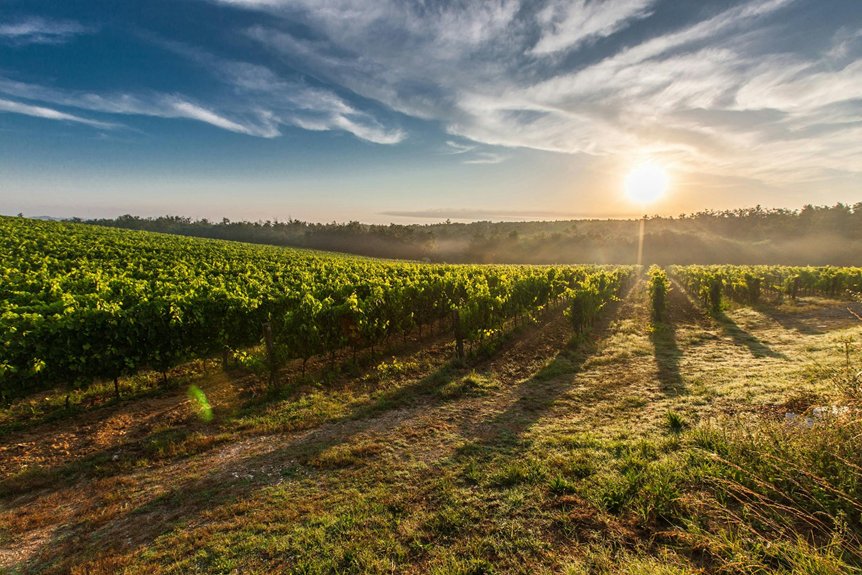 autumnal winery harvest experiences