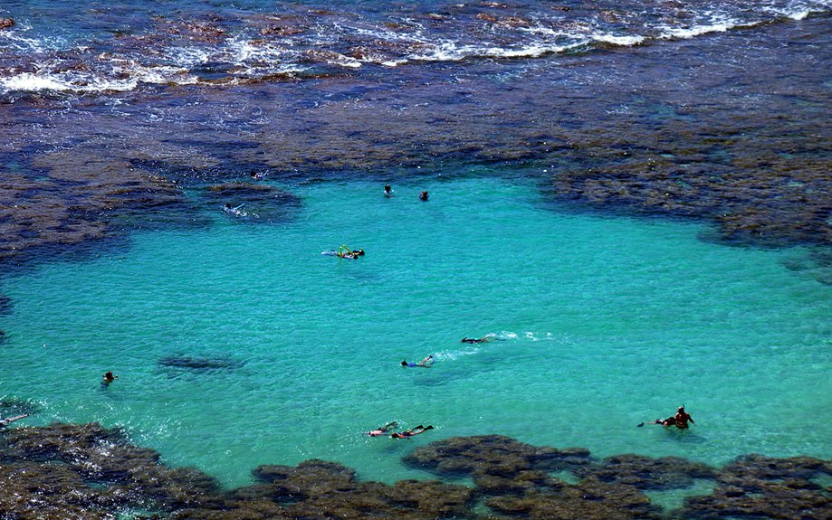 best akamas scuba tours