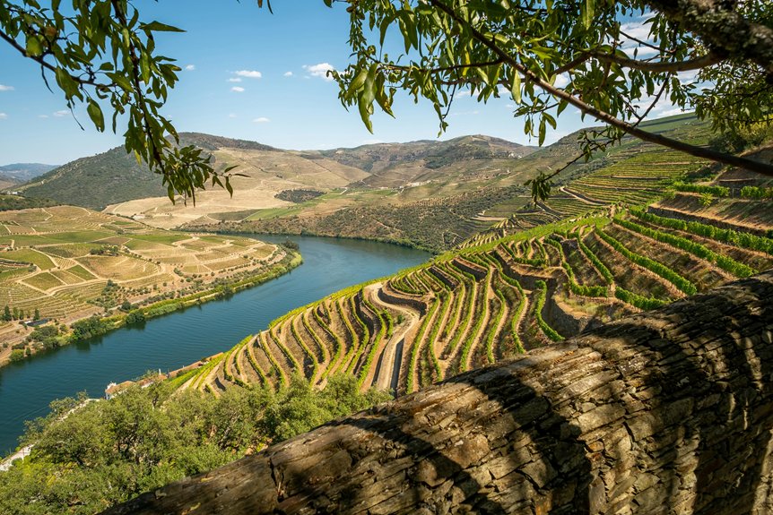 biking vineyards savoring wine routes