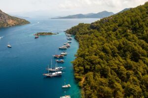 boat trips explore latchi akamas peninsula