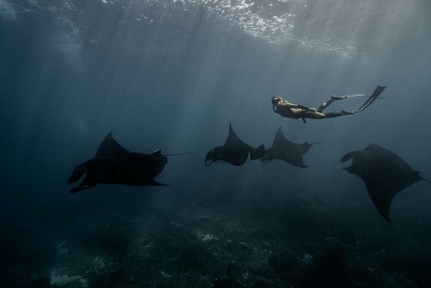 check dive visibility