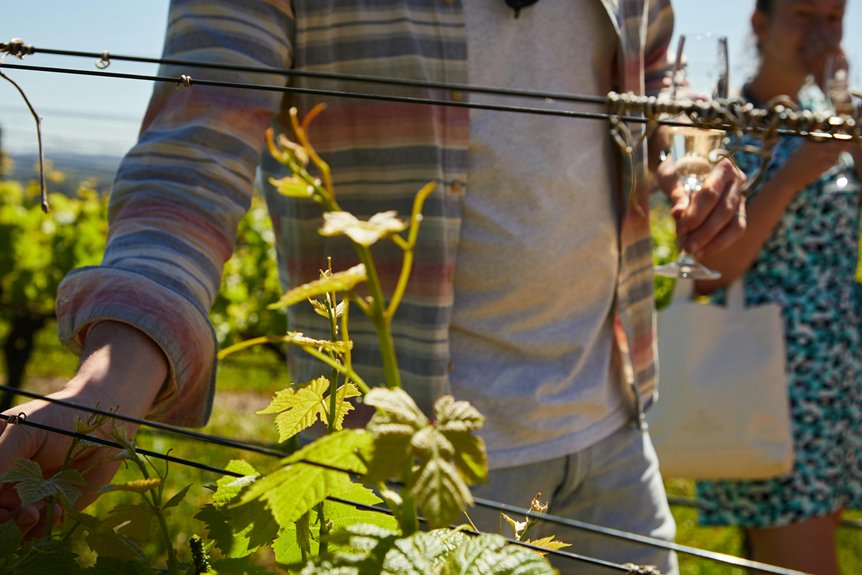 exploring cyprus s indigenous wine varieties