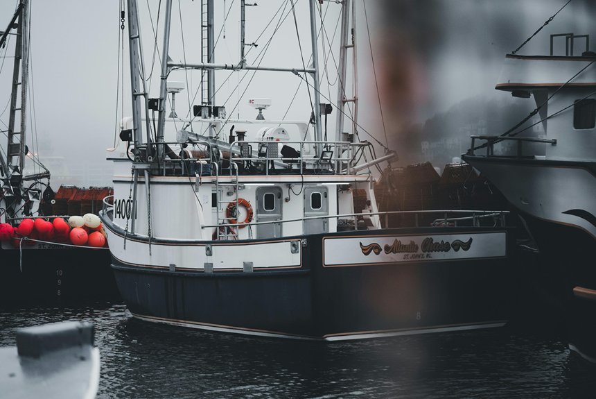 harbor fishing charters guide