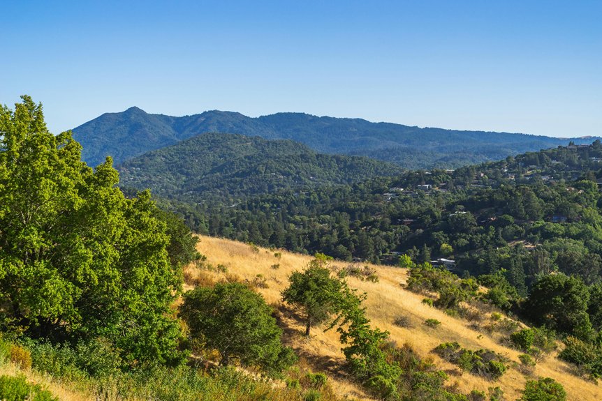 hilly mountain biking landscape challenge