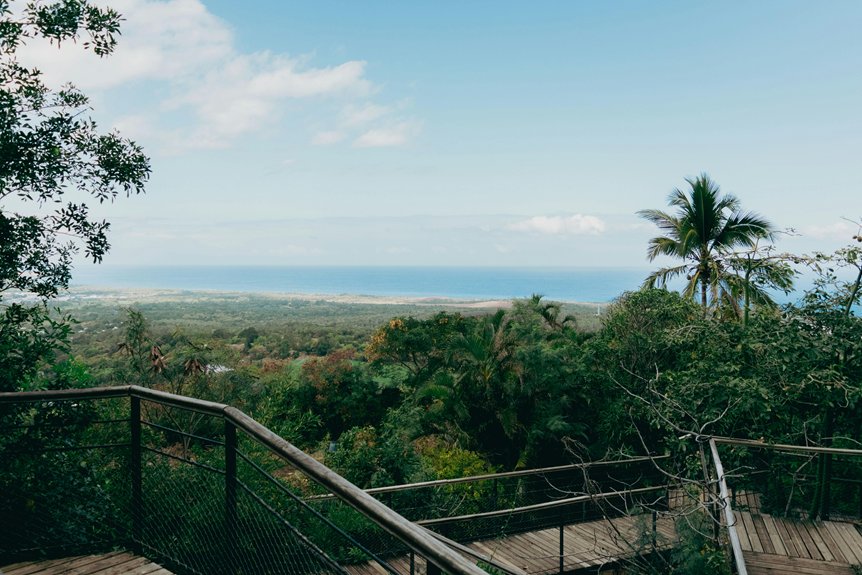 ideal turtle spotting destination