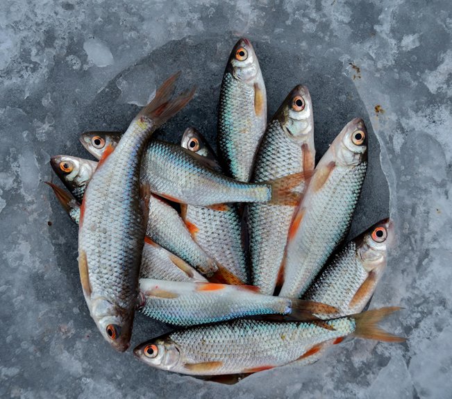 larnaca s top seafood market restaurants