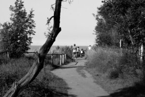 larnaca seafront family cycling paths