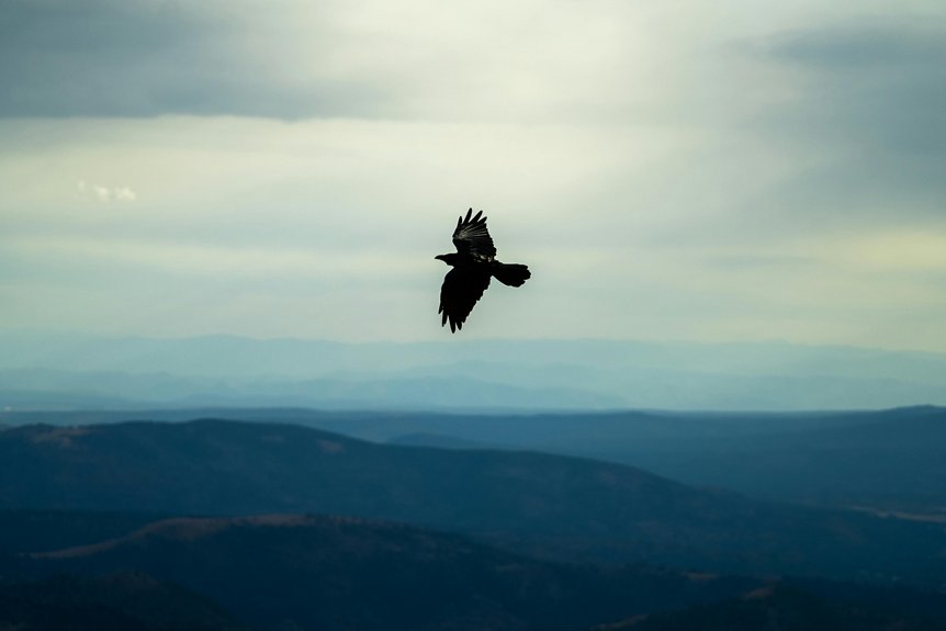 mountain village birdwatching retreats