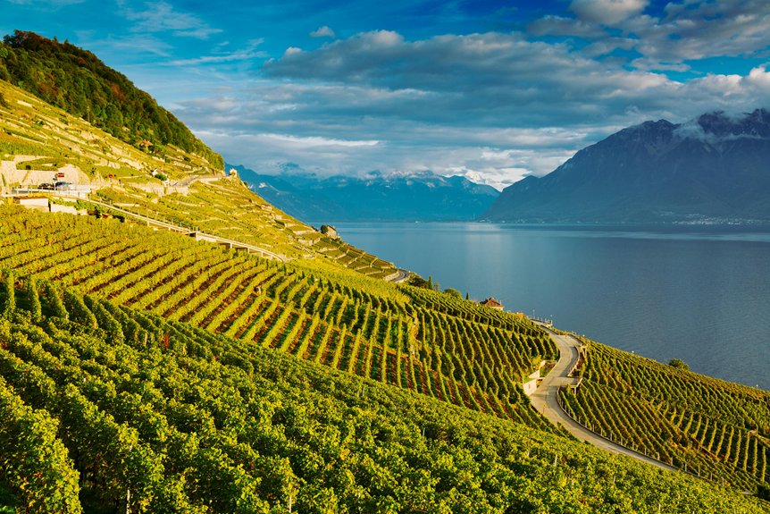 mountain village wine festivals