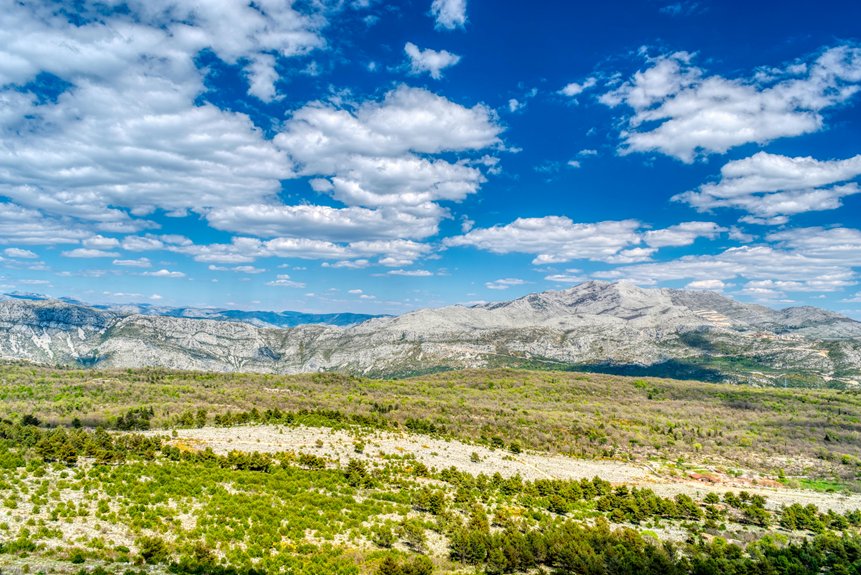 natural healing retreat experience